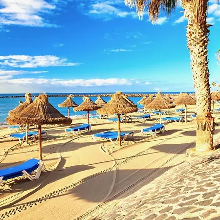 Costa Adeje, New And Wonderful Studio Lägenhet